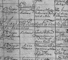 The parish registers of Hohenseibersdorf