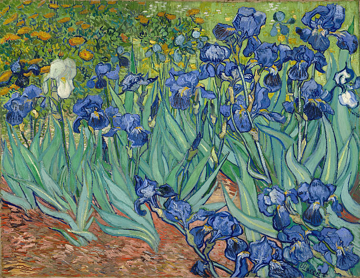 Vincent van Gogh, Irises, 1889