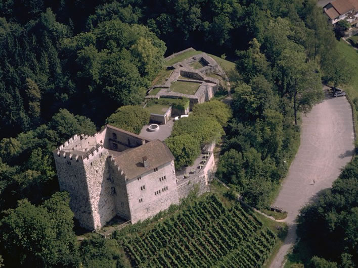 Habsburg Castle, aerial view.