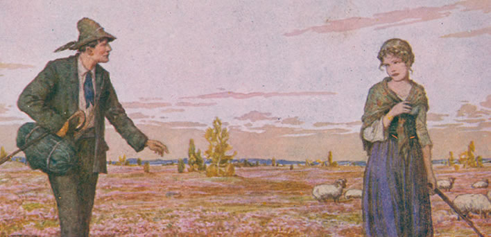 'Heidenröslein' postcard illustration 3