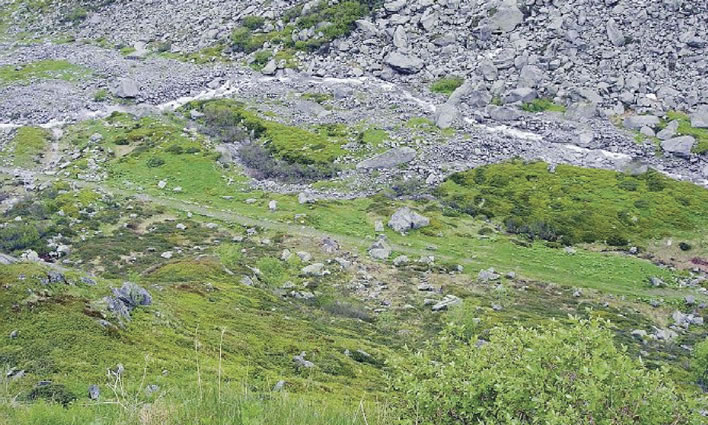 Remains of the pack route between Hospental and the pass summit, 2010.