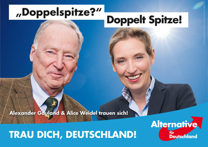 AfD election poster, 2017
