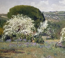 Aureliano de Beruete, 'Espinos en flor. Plantío de los Infantes (Flowering Hawthorn)'