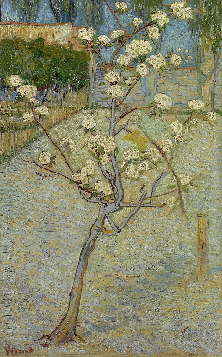 Vincent van Gogh, Small Pear Tree in Blossom, 1888