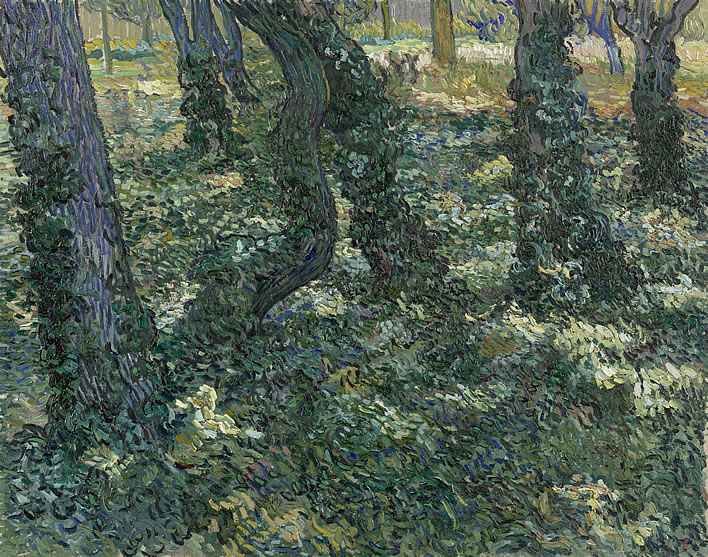Vincent van Gogh, Undergrowth, 1889