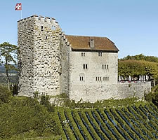 Habsburg Castle, Switzerland