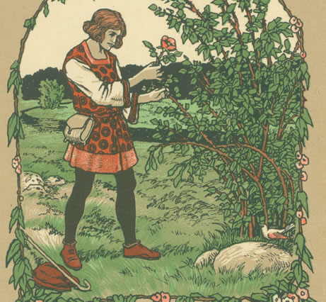'Heidenröslein' postcard illustration 2