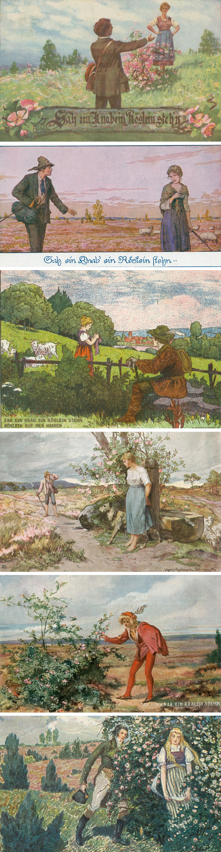 'Heidenröslein' illustrations on postcards