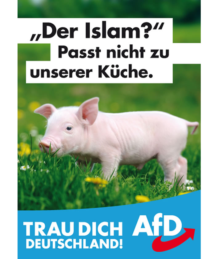 AfD election poster