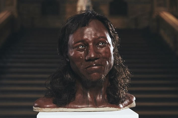 Tanned Cuprinol Man, Cheddar Gorge, UK, 8,000 BC