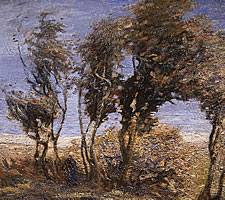 Mark Senior (1862?-1927), Trees at Runswick Bay, ND