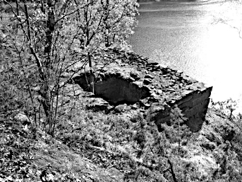 FoS image, size 350x263