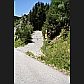 The road that we have taken to get to Parsonz dates from the 1970s, the time of the great alpine 'amelioration' in Graubünden.