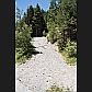 The first 200m of the path have been widened and gravelled into an access road for forestry work.