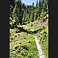 As a result of extensive logging in the valley, most of the path today is airy and sunny. The tree stumps tell us that in earlier times the path would be much narrower and darker, the 'secluded, somewhat spooky valley' of which Dr Dedual-Naescher wrote.