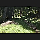 The yellow 'Wanderweg' signpost can just be seen in the distance.